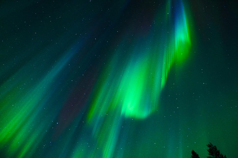 Tromsø: Excursión guiada a la Aurora Boreal con avistamientos garantizados