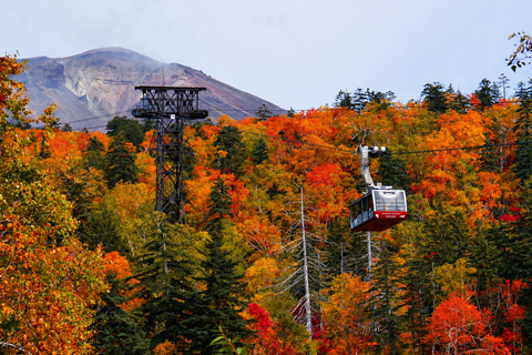 Sapporo: Daisetsuzan w/Ropeway, Hagoromo Falls Foliage Tour Shared Tour, Meet at Sapporo Station