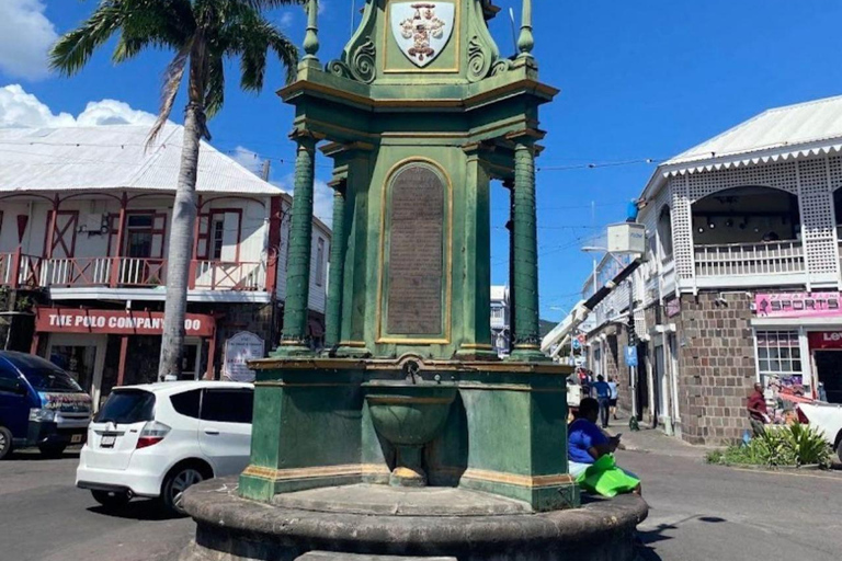 St Kitts: Panaramic Rainforests and Beach Excursions