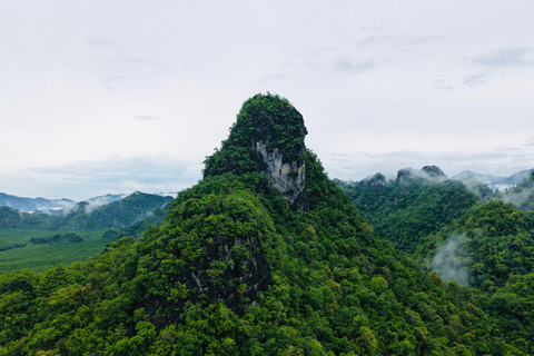 Shared Langkawi Mangrover River Cruise / Snorkelling Shared Mangrove Tour +Snorkelling +Lunch 4 Hours