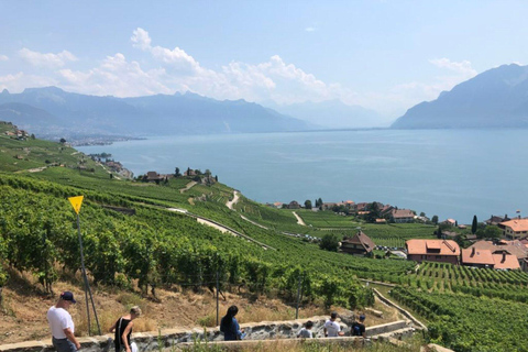 日内瓦：拉沃、谢布雷与瓦莱州品酒之旅日内瓦：拉沃、谢克斯布雷与瓦莱州品酒之旅