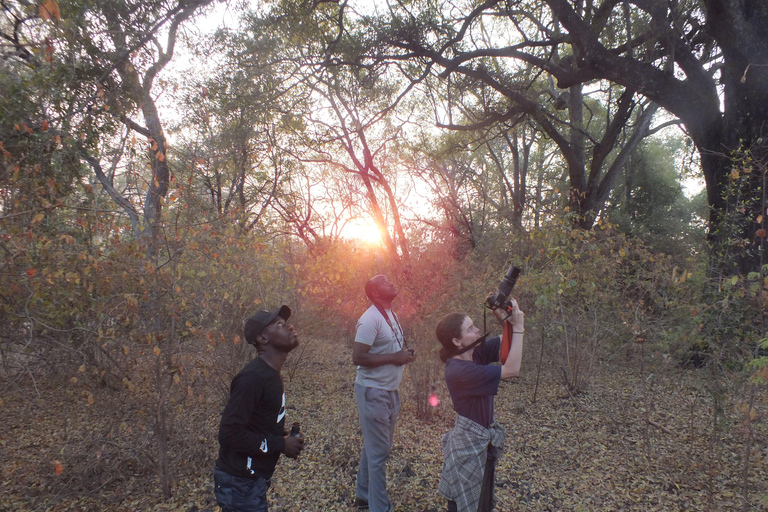 Birdwatching Livingstone Zambezi River with Sunrise