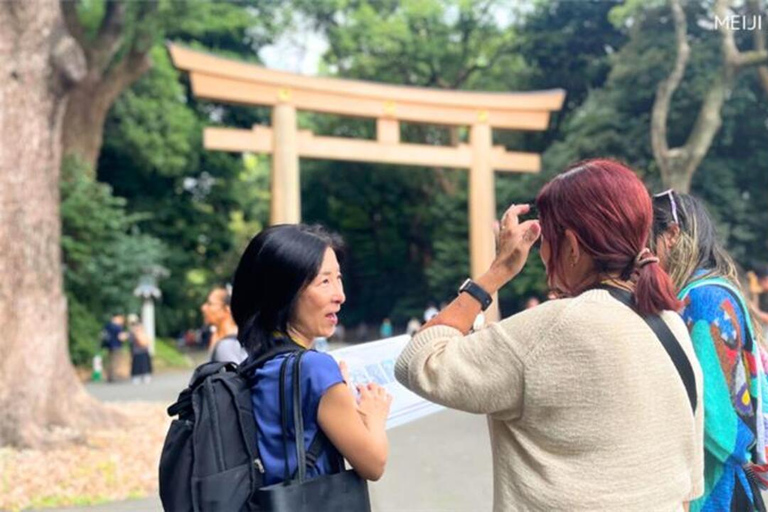 طوكيو في أي مكان تريد! جولة مخصصة في طوكيو في 3 ساعات