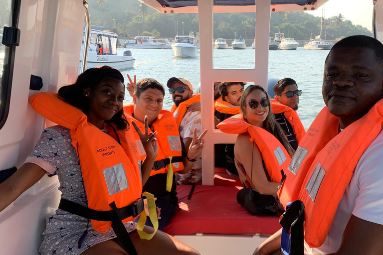 Maputo: Whale Watching, Day Trip