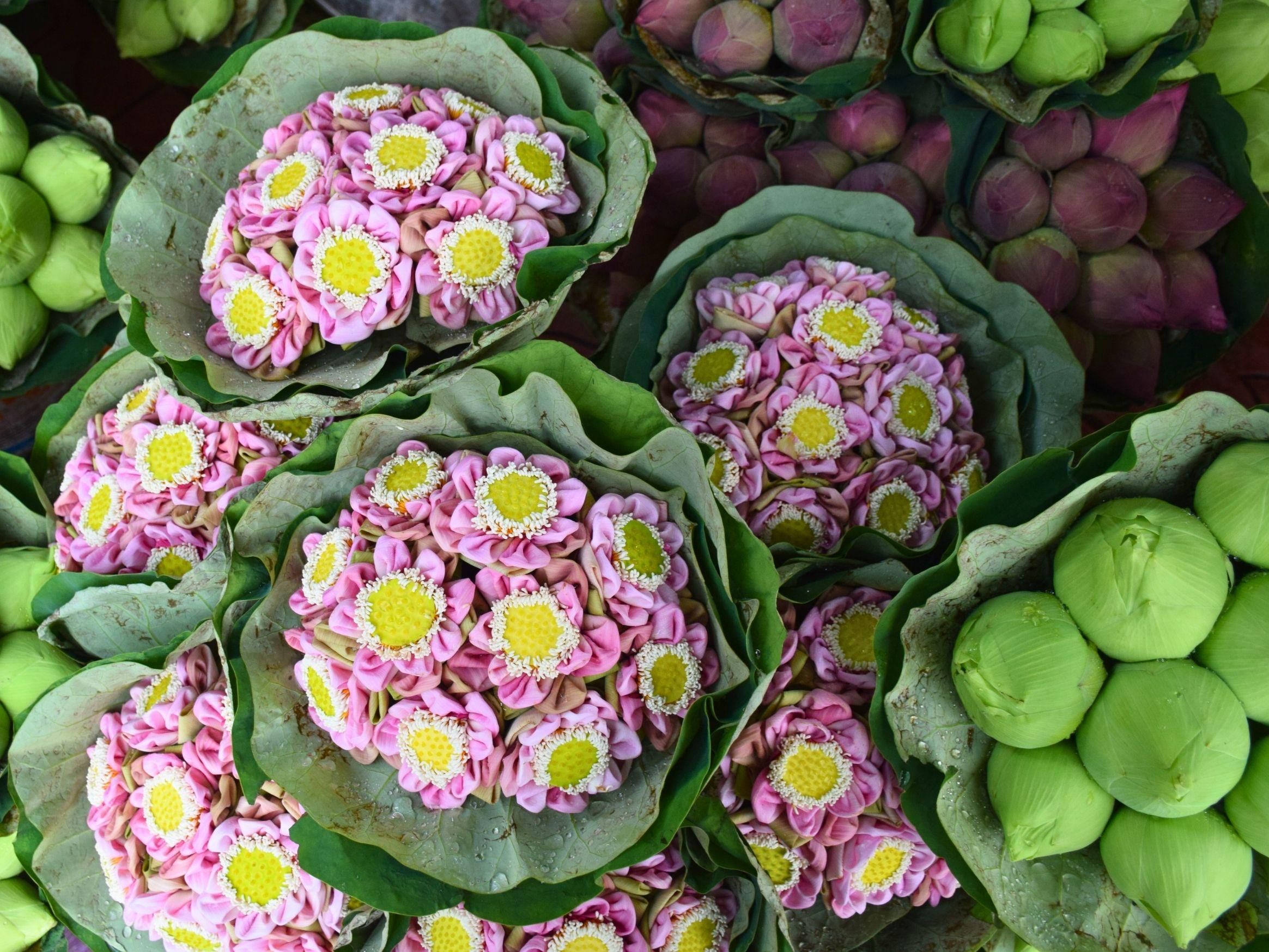 Bangkok: Tour zu Lotusfeldern, Orchideenfarm und Blumenmarkt