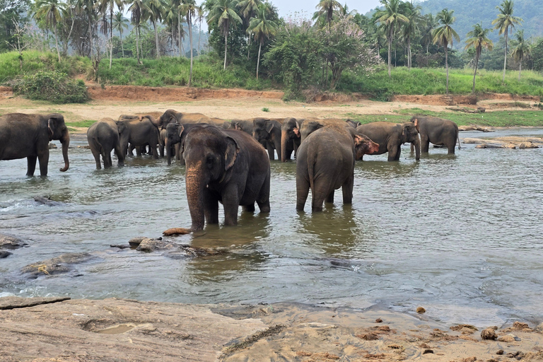 From Kandy: Pinnawala Elephants & Ambuluwawa Tower Day Tour From Kandy: Ambuluwawa Tower private tour by car/mini van 02