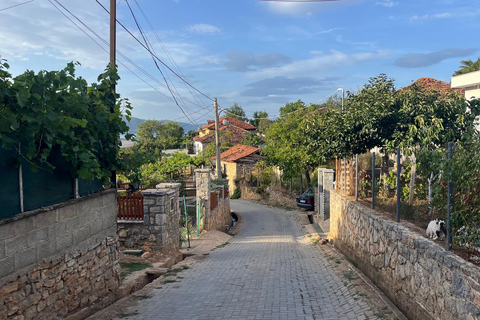 地拉那：埃尔巴桑堡垒、林村和奥赫里德湖之旅