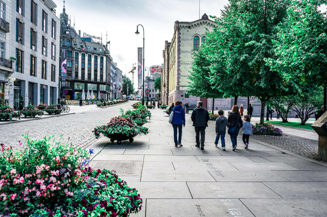 Oslo: 3-hour Highlights & Vigeland Park Private Walking Tour