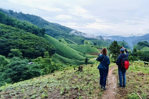 Chiang Rai: 1-Day Trekking and Longtail Boat Trip