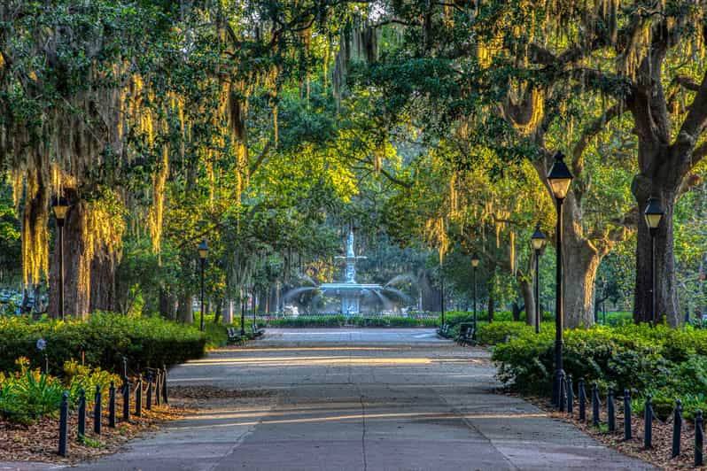 Savannah Ga Gardens Tour Fasci Garden