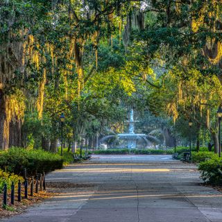 Savannah's Urban Forest: the Gates and Gardens Tour
