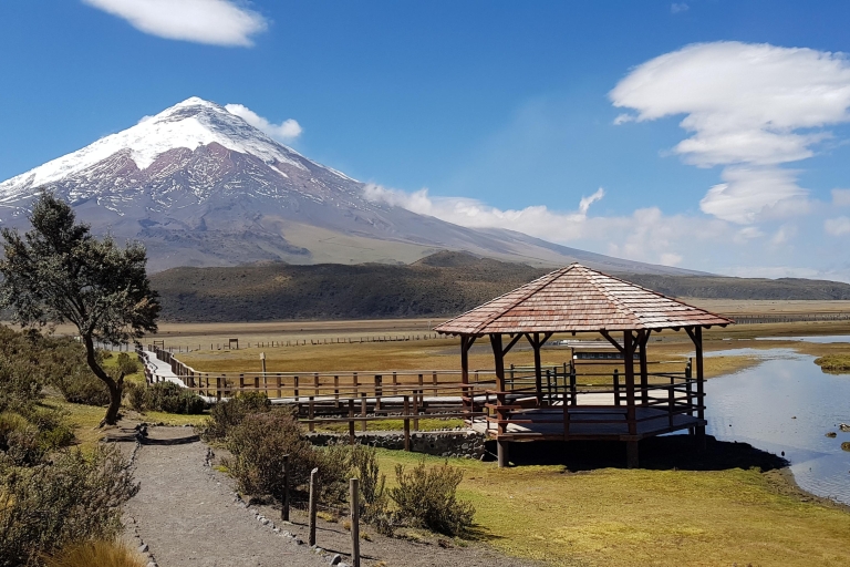 Visite du volcan Cotopaxi : entrées inclusesExcursion privée au volcan Cotopaxi : Avec déjeuner et billet