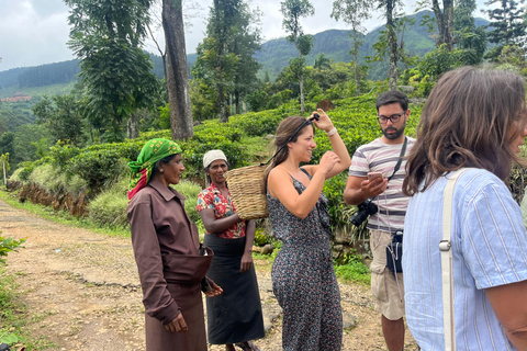 Colombo: Nuwara Eliya: Jardins de chá, charme colonial e chá da tarde