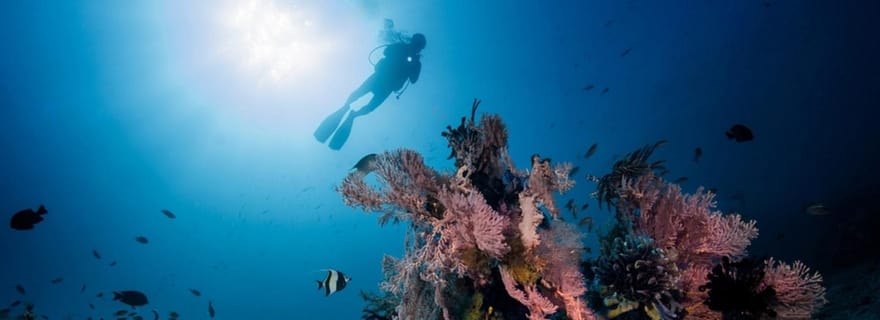 Tulamben : Expérience de plongée sous-marine dans un paradis sous-marin