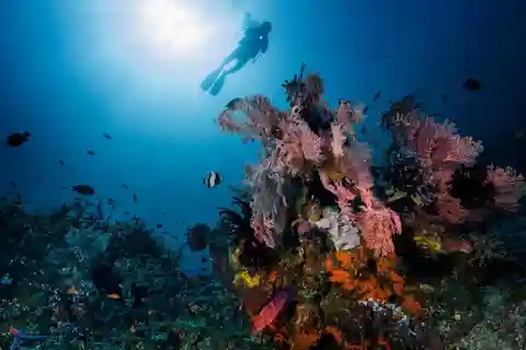 Tulamben: Experiência de mergulho no paraíso subaquático