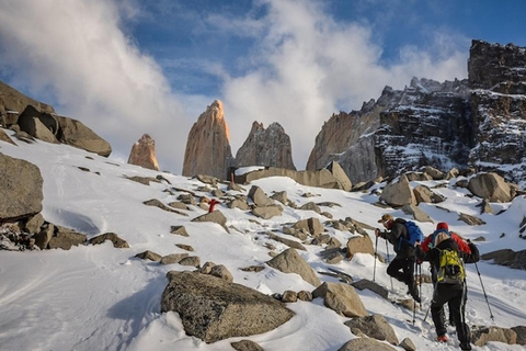 Punta Arenas: Base Torres vandring med guide och transport