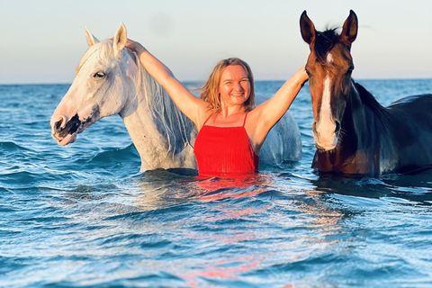 الغردقة: جولة ركوب الخيل في الصحراء والبحر مع خيار السباحةجولة لمدة ساعتين لركوب الخيل بدون السباح