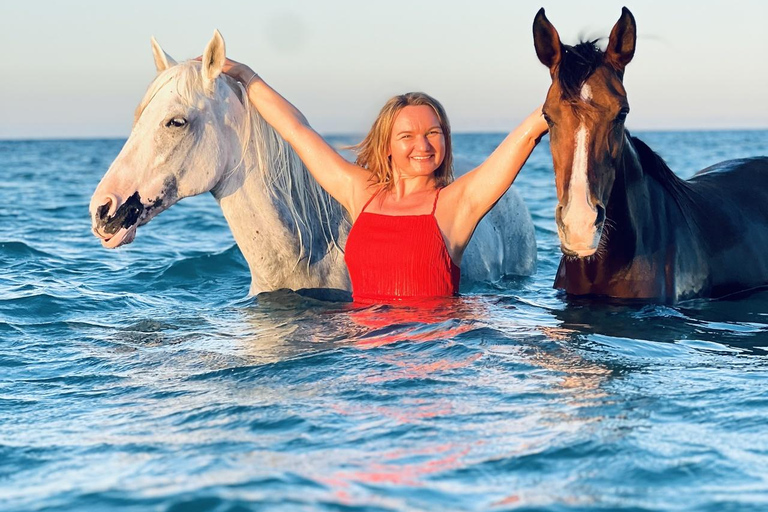 الغردقة: جولة ركوب الخيل في الصحراء والبحر مع خيار السباحةجولة لمدة ساعتين لركوب الخيل بدون السباح