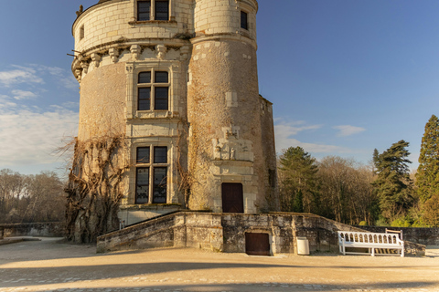 Chenonceaux: Château and Gardens Walking Tour with Entry