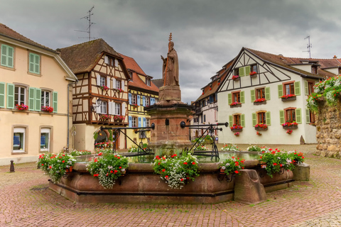 Ab Colmar: Tagestour zu den 4 Wundern des Elsass