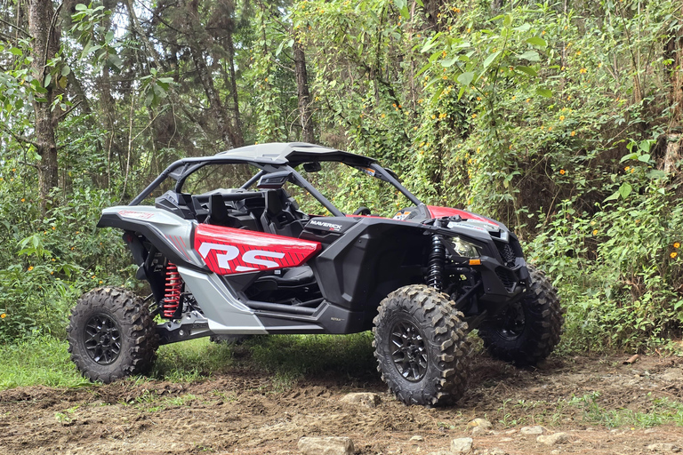 Medellín: Guided forest tour in SxS / UTV in Can-Am Turbo RR XRS 200hp Medellín: Guided forest tour on a Can-Am Turbo RR XRS 200hp UTV