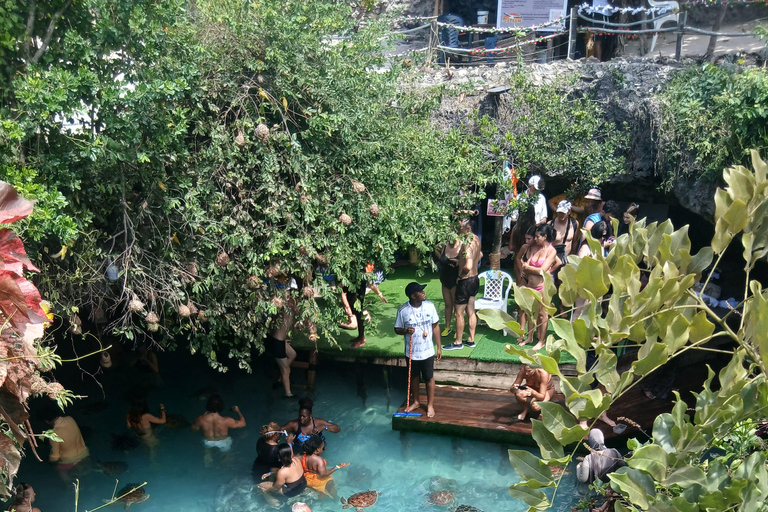 زنجبار: جولة في مزرعة التوابل وجولة في كهف السلامجولة خاصة مع النقل مشمول