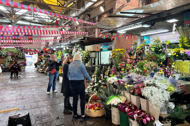 Santiago: Downtown Walking Tour