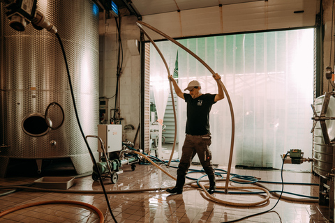 Ramsthal: Winery Tour with Wine Tasting and Tapas