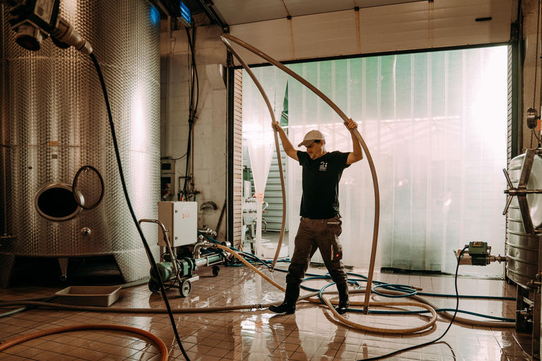 Ramsthal: Winery Tour with Wine Tasting and Tapas