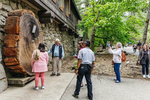 Ab San Francisco: Tour zum Yosemite NationalparkTour auf Englisch