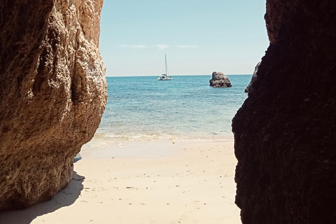 Luxury Catamaran Cruise Along Algarve Coast Half-day Luxury Catamaran Experience - Portimão