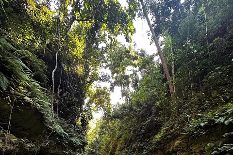 Cebu: Kawasan watervallen Canyon avontuur met transfers