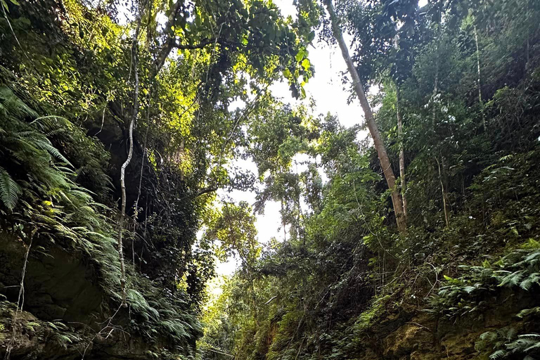 Cebu: Kawasan Falls Canyoneering Abenteuer mit Transfers