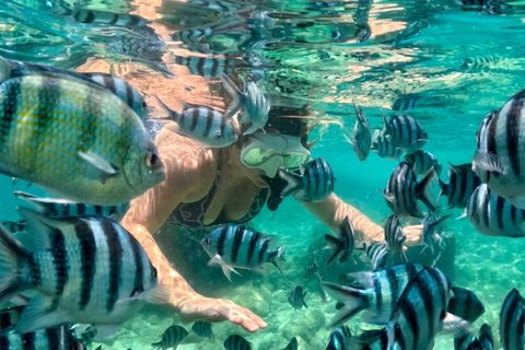 Pattaya: Koh Talu & 7 Islands Speedboat Tour with Lunch