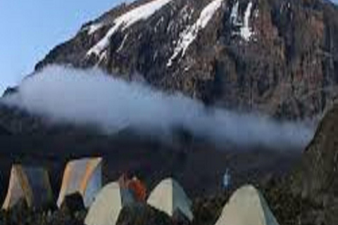 Upplevelse 4 dagar Kilimanjaro klättring Machame Route