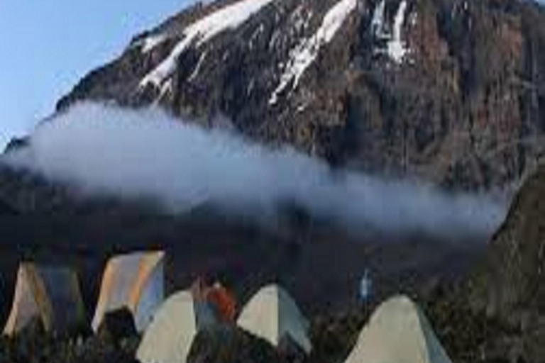 Esperienza di 4 giorni di scalata del Kilimangiaro sulla via Machame