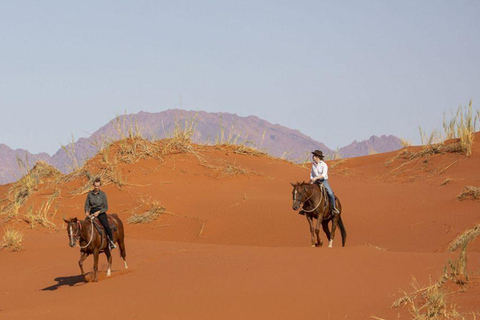 From Windhoek: 6-Day Namibia Safari with Lodging & Meals