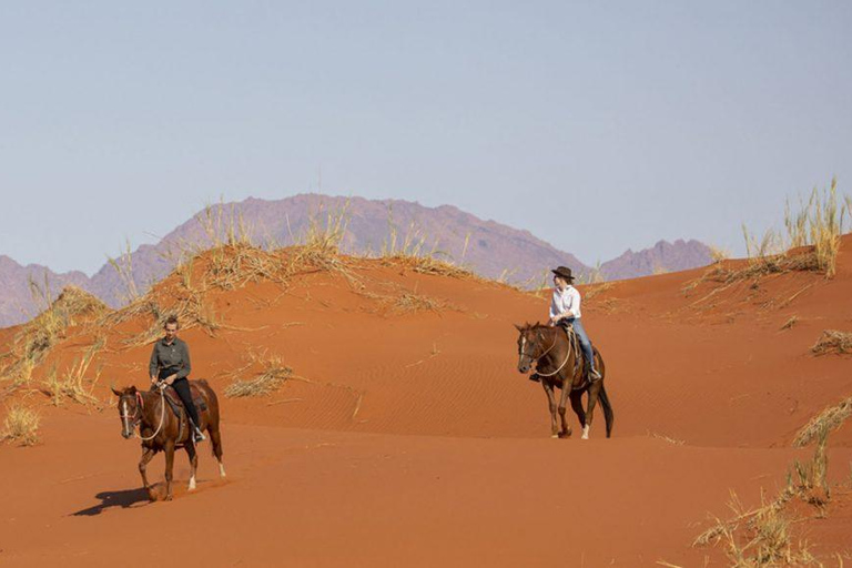 From Windhoek: 6-Day Namibia Safari with Lodging & Meals