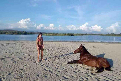 From Huatulco: Beach Horseback Riding Experience Regular Beach Horseback Riding Tour (2 hours)