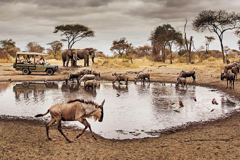 7 Days Affordable Wildlife Adventure Safari in Kenya