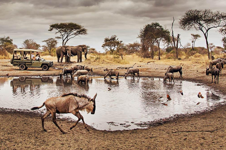 7 Days Affordable Wildlife Adventure Safari in Kenya