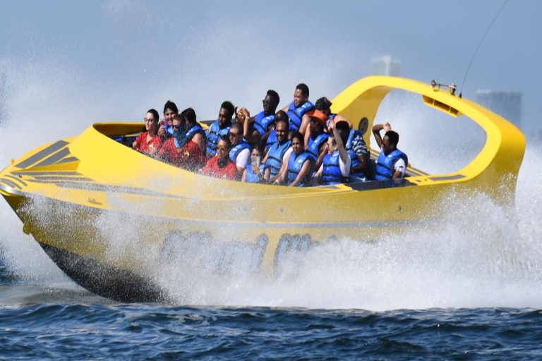 Miami: Speedboat Ride