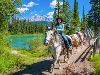 Nationalpark Banff: 1-stündige Reittour am Bow River