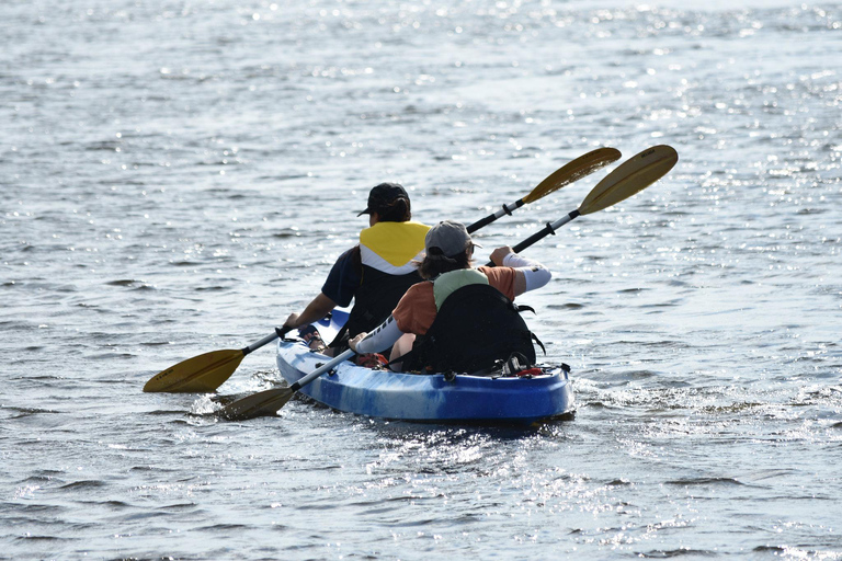 Montreal: Express Kayak Tutorial for Beginners Montreal: Quick Introduction to Kayaking for Beginners