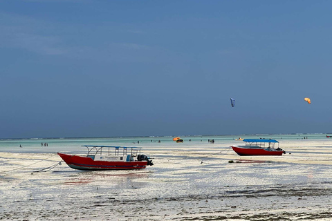 Zanzibar: Floresta Jozani, Borboletas, Caverna Kuza e Praia PajeTour particular sem serviço de busca no hotel e traslado de ida e volta incluídos
