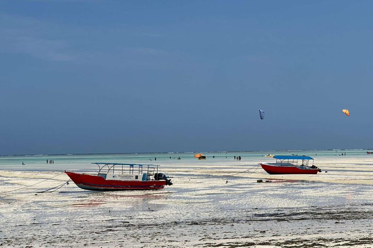 Zanzibar: Floresta Jozani, Borboletas, Caverna Kuza e Praia PajeTour particular sem serviço de busca no hotel e traslado de ida e volta incluídos