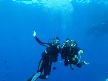 Fréjus: Diving Experience in Port-Fréjus with an Instructor