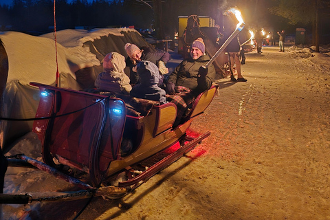 Zakopane: Chochołowska Valley Sleigh Ride with Bonfire