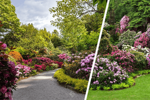 Wrocław: Private Tour to Gold Mine, Książ Castle & Arboretum Wrocław: Private Tour to Gold Mine & Książ Castle