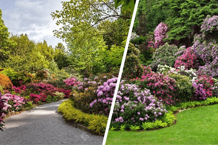 Wrocław: Private Tour to Gold Mine, Książ Castle & Arboretum Wrocław: Private Tour to Gold Mine & Książ Castle